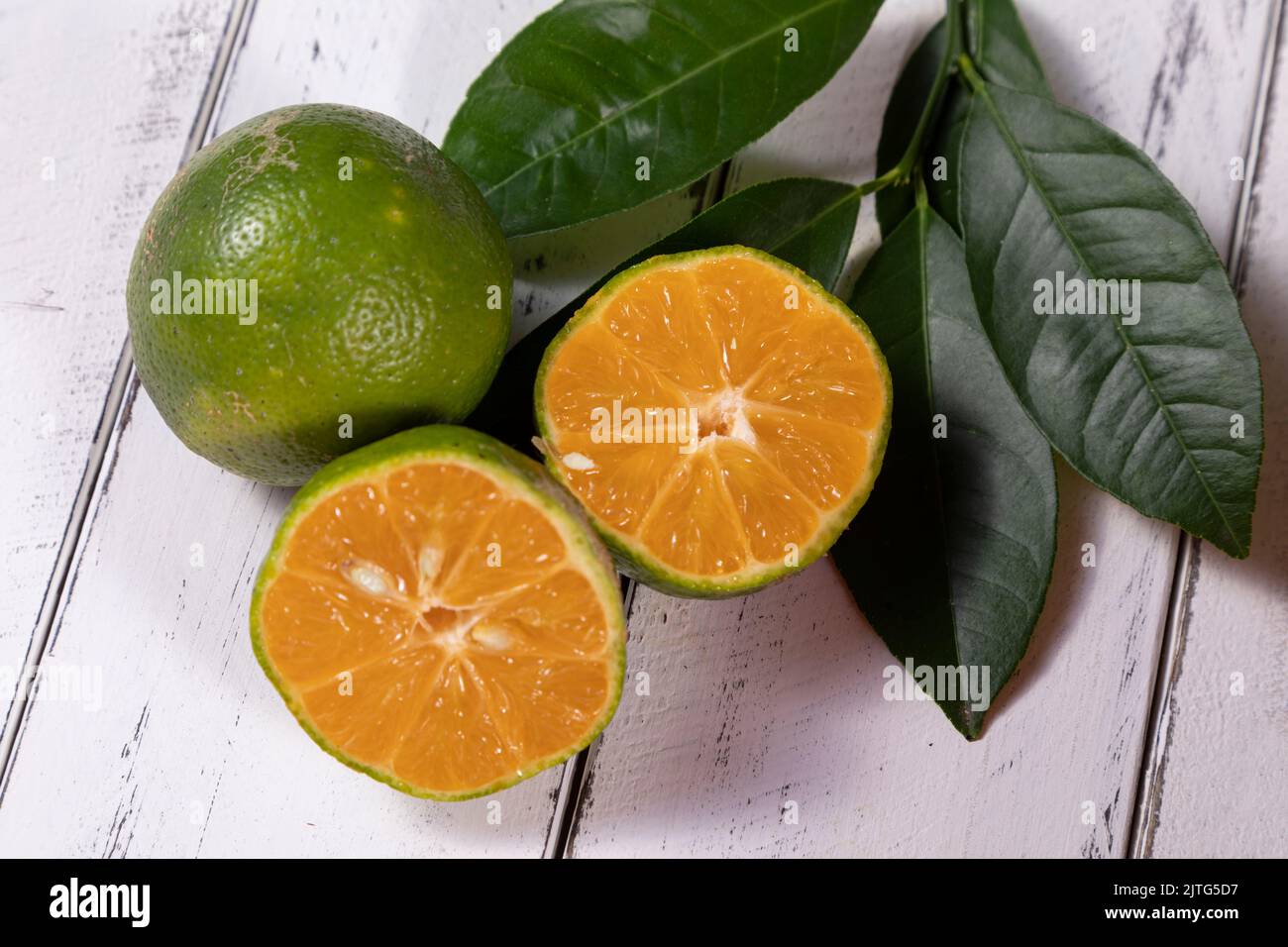 Rangpur, Citrus × limonia or Citrus reticulata × medica, sometimes called the rangpur lime, mandarin lime or lemandarin, is a hybrid between the manda Stock Photo