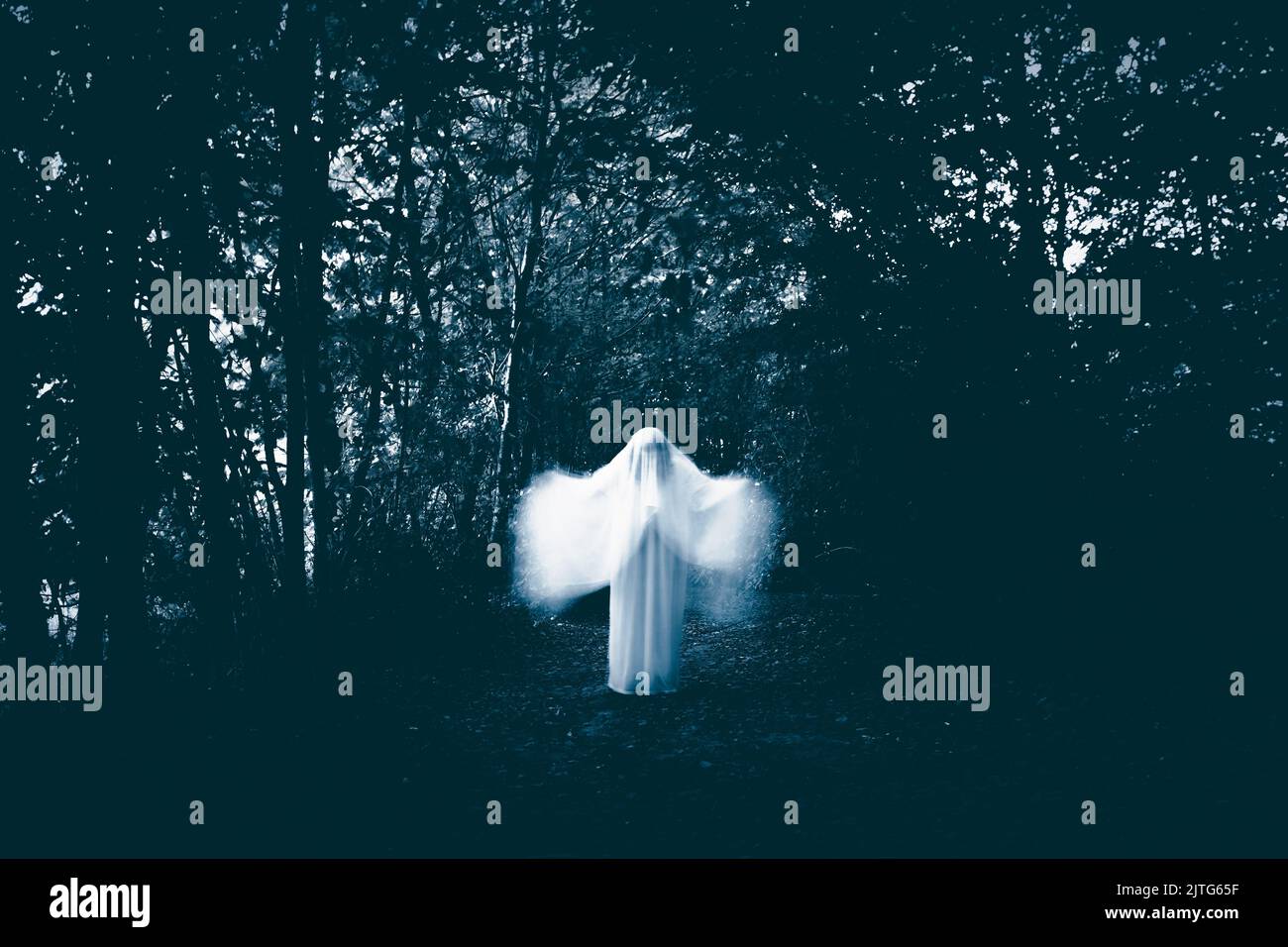 Horror background of a ghostly figure in enchanted a forest. Halloween concept Stock Photo
