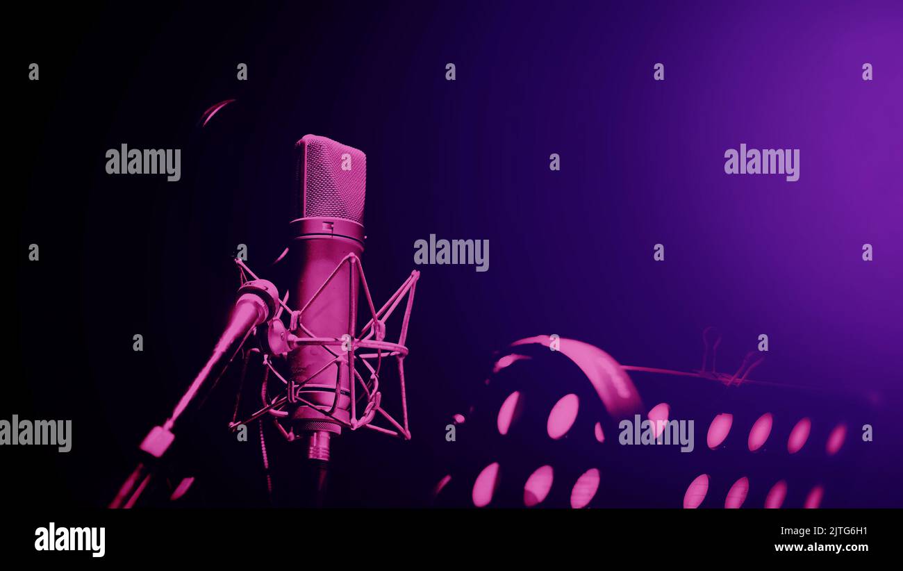 Professional microphone and anti vibration on mic stand. Microphone in