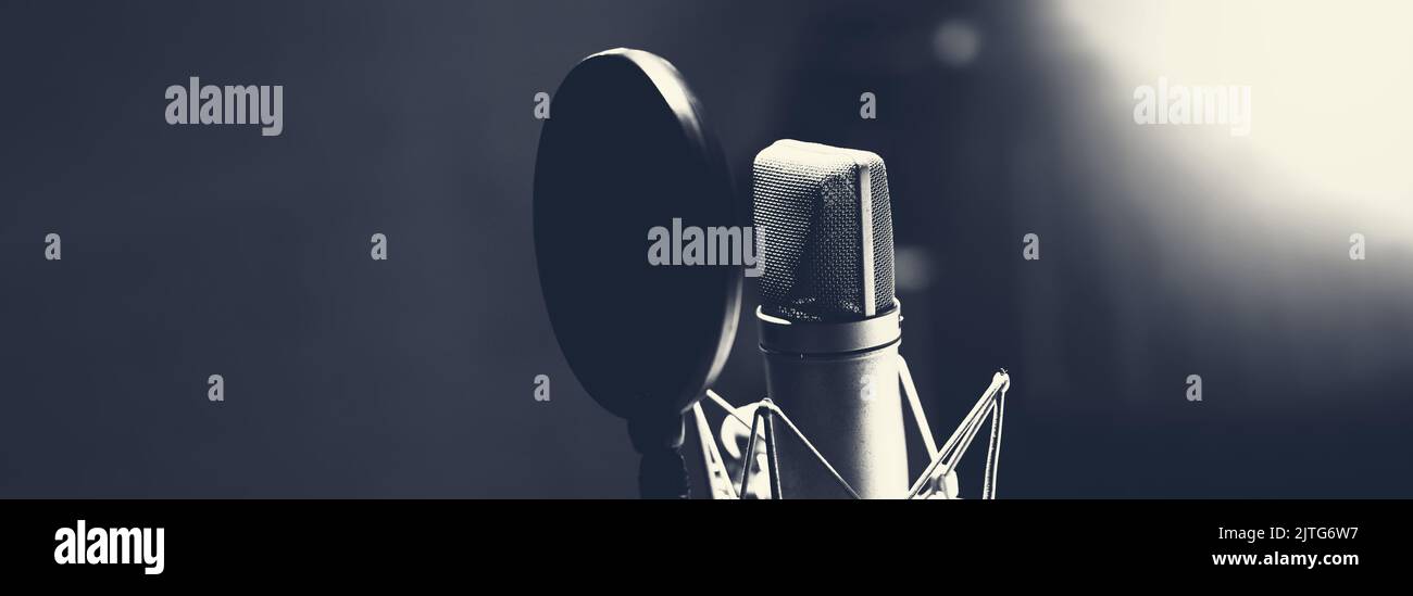 Professional microphone and anti vibration on mic stand. Microphone in