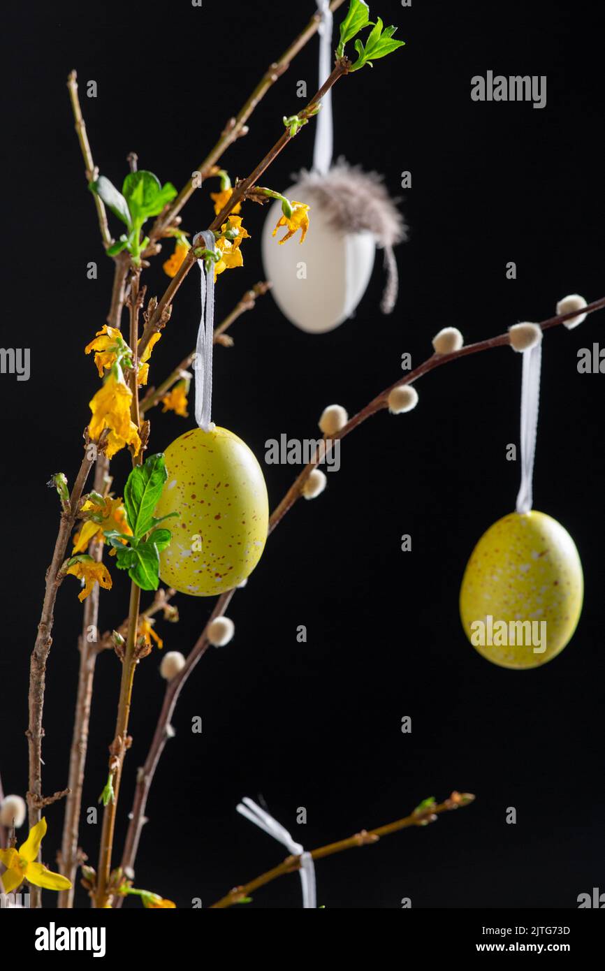 willow and forsythia branches with easter eggs Stock Photo