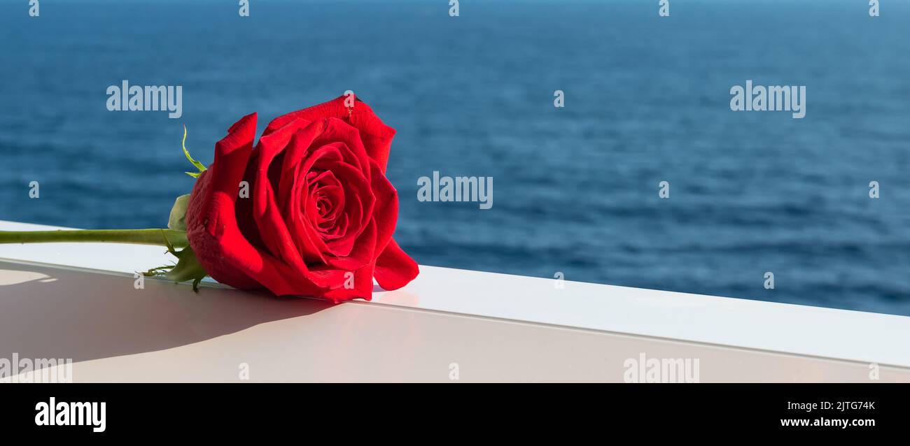 Red rose on sea background. Stock Photo
