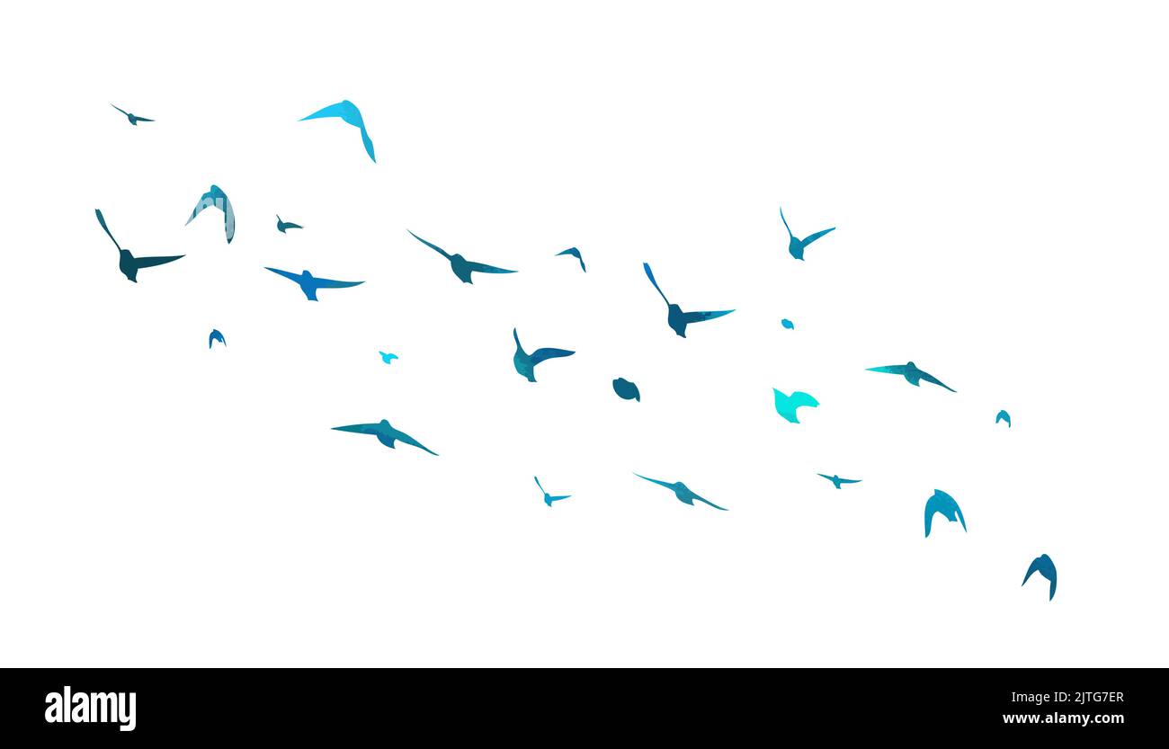 Bird watercolor. A flock of blue birds. Mixed media. Vector