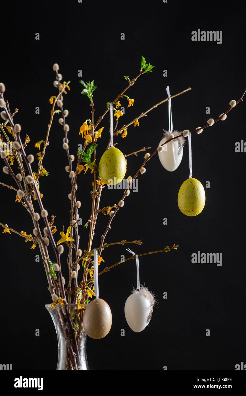 willow and forsythia branches with easter eggs Stock Photo