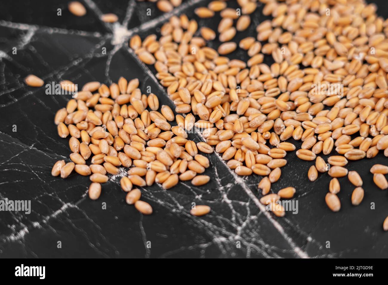 Whole grain wheat seeds on black old paper closeup Stock Photo Alamy