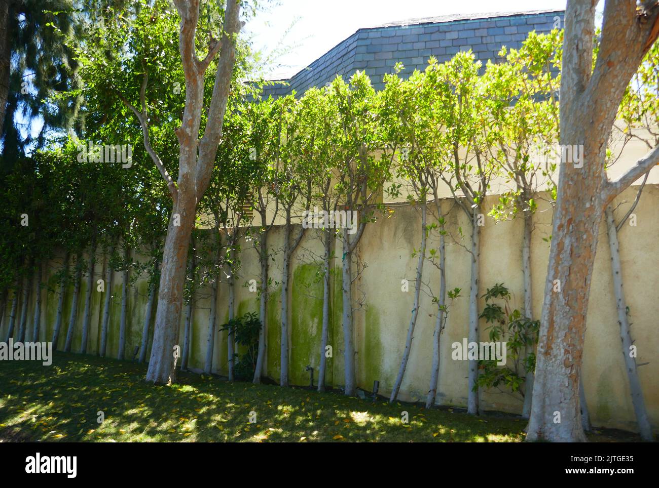 Los Angeles, California, USA 27th August 2022