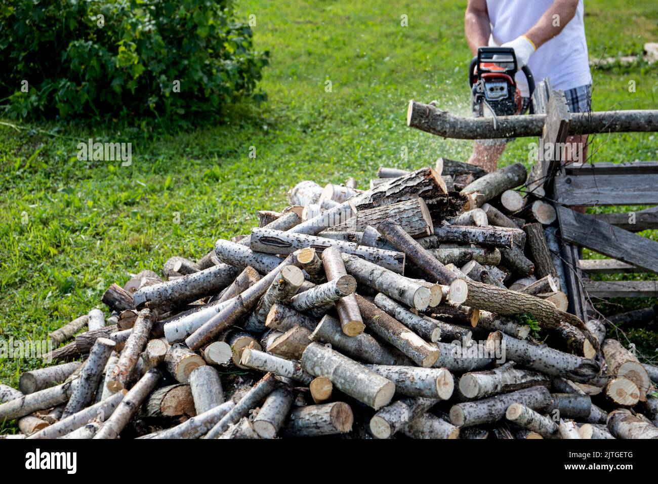 A man with a chainsaw splits logs into firewood Preparing firewood for the winter... Stock Photo