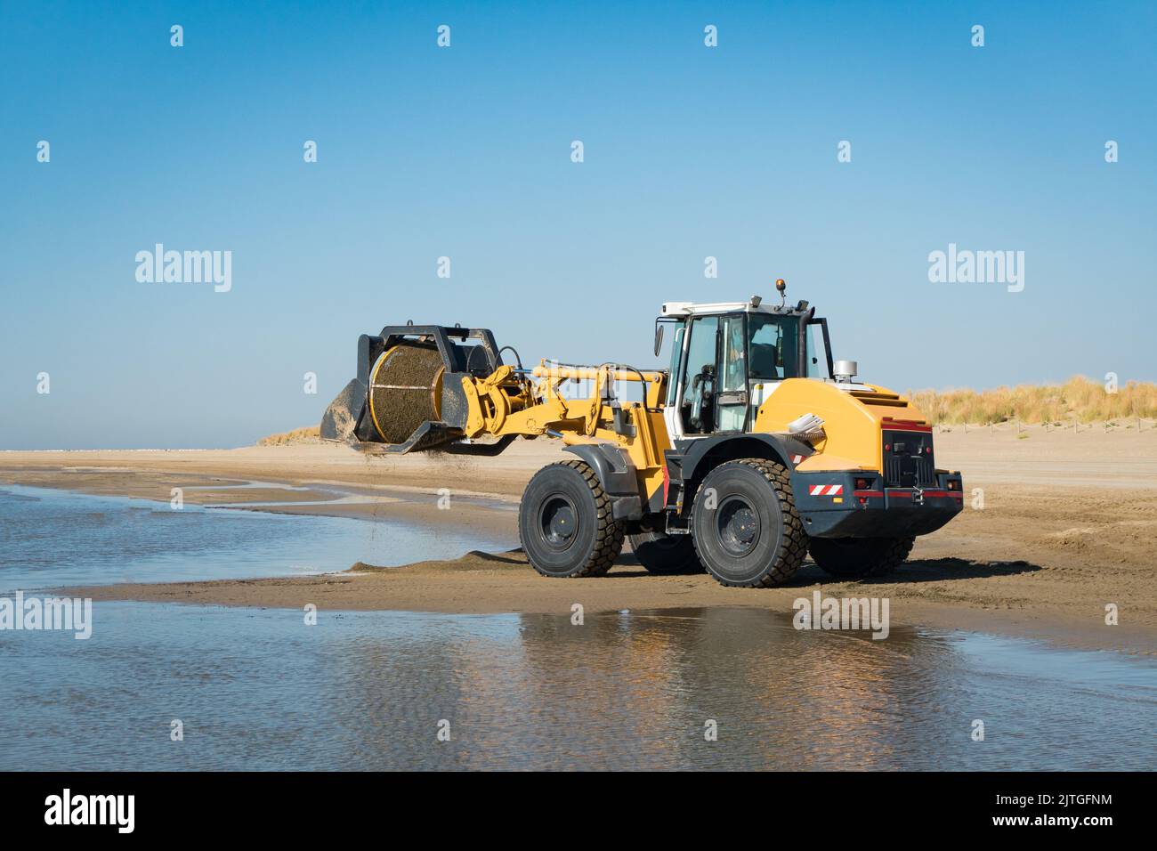 Excavator cleaning a beach from seaweed and algae, by using a customized truck. Stock Photo