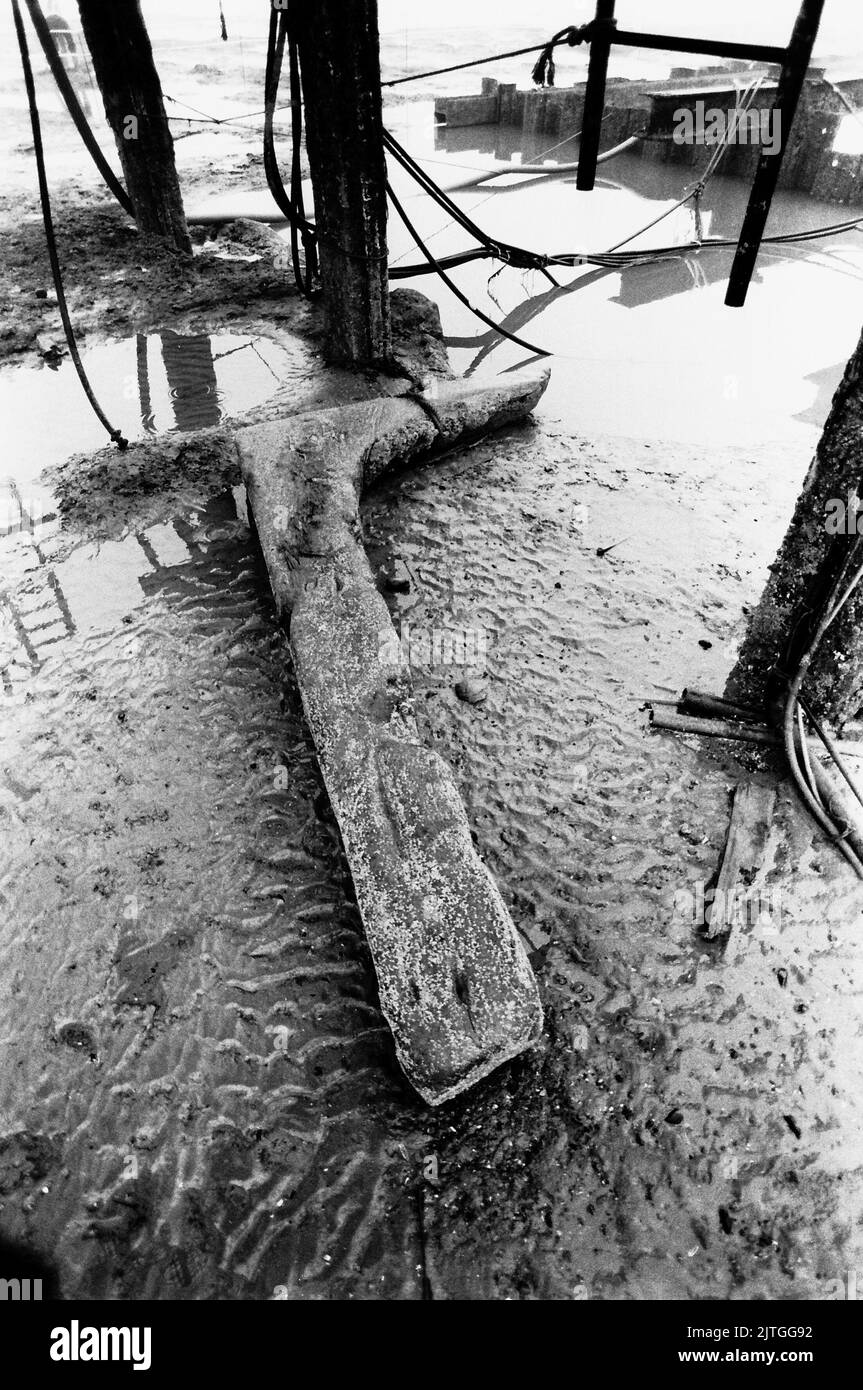 AJAXNETPHOTO. 28TH AUGUST, 1984. BULVERHYTHE BAY, NR HASTINGS, ENGLAND.  - AMSTERDAM WRECK - TIMBERS OF THE 18TH CENTURY DUTCH EAST INDIA CO MERCHANT SHIP SEEN AT LOW WATER SPRINGS NEAR THE WRECKSITE. SHIP WAS WRECKED IN A CHANNEL STORM ON 26TH JANUARY, 1749 AND REDISCOVERED IN 1969.  PHOTO:JONATHAN EASTLAND/AJAX.  REF:340 220105 17 Stock Photo