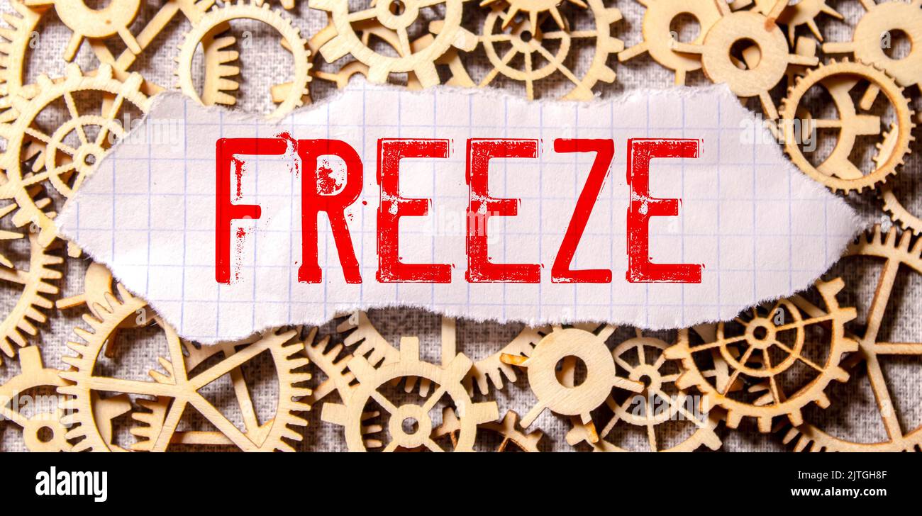 Wooden blocks with FREEZE text of concept Stock Photo - Alamy