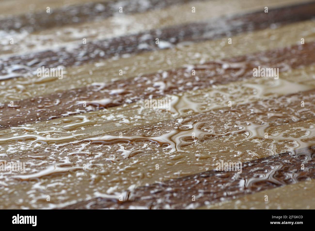 A low closeup view of wet, unvarnished wooden floorboards with a very