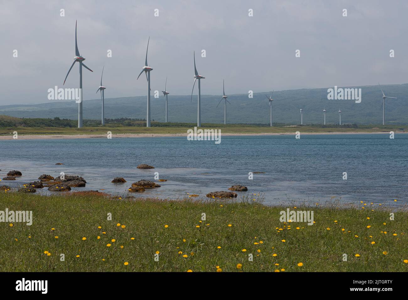 Wind turbine energy farm by the sea Stock Photo