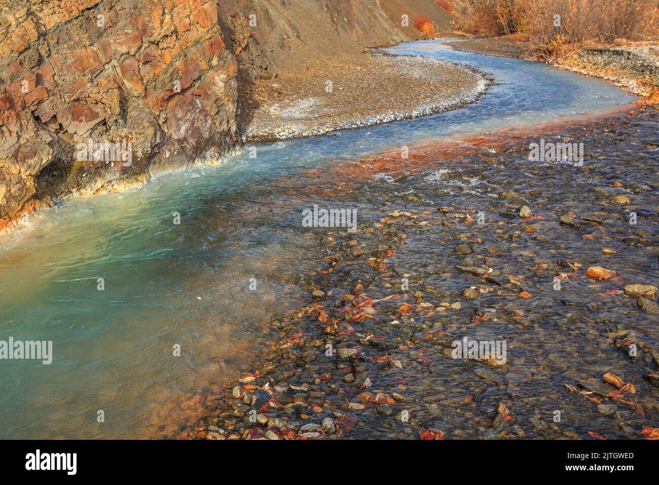 Waters of the Rock River are richly coloured by dissolved minerals