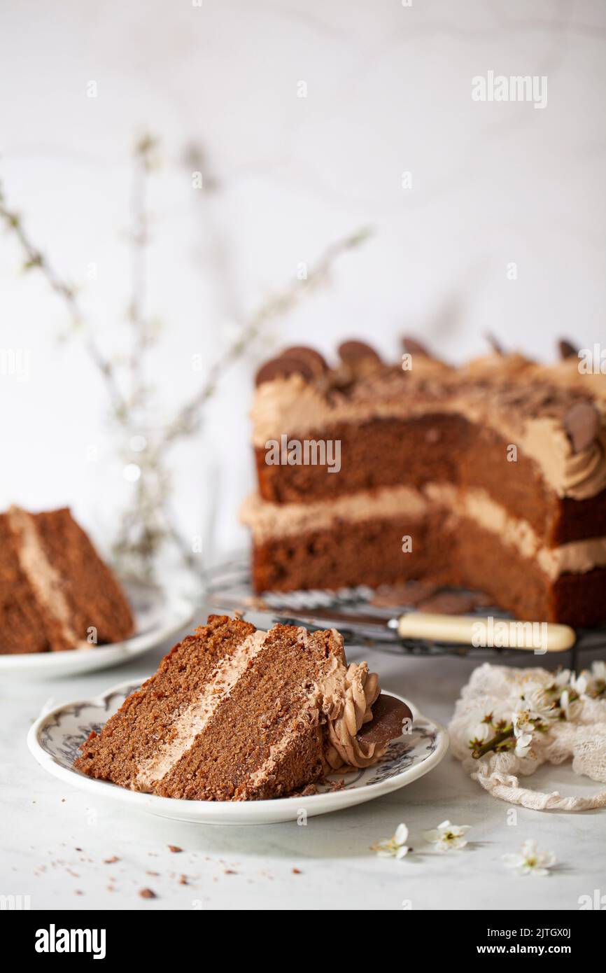A slice of milk chocolate sponge cake on a plate with the rest of the cake in the background. Stock Photo