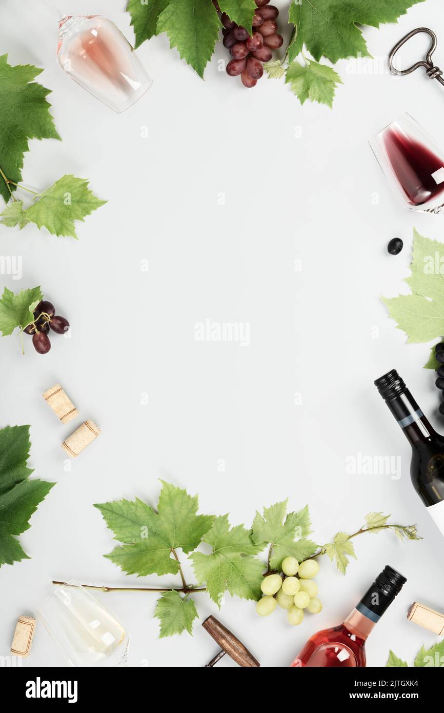 Flatlay of red, rose and white wine in glasses, Branch of grape vine