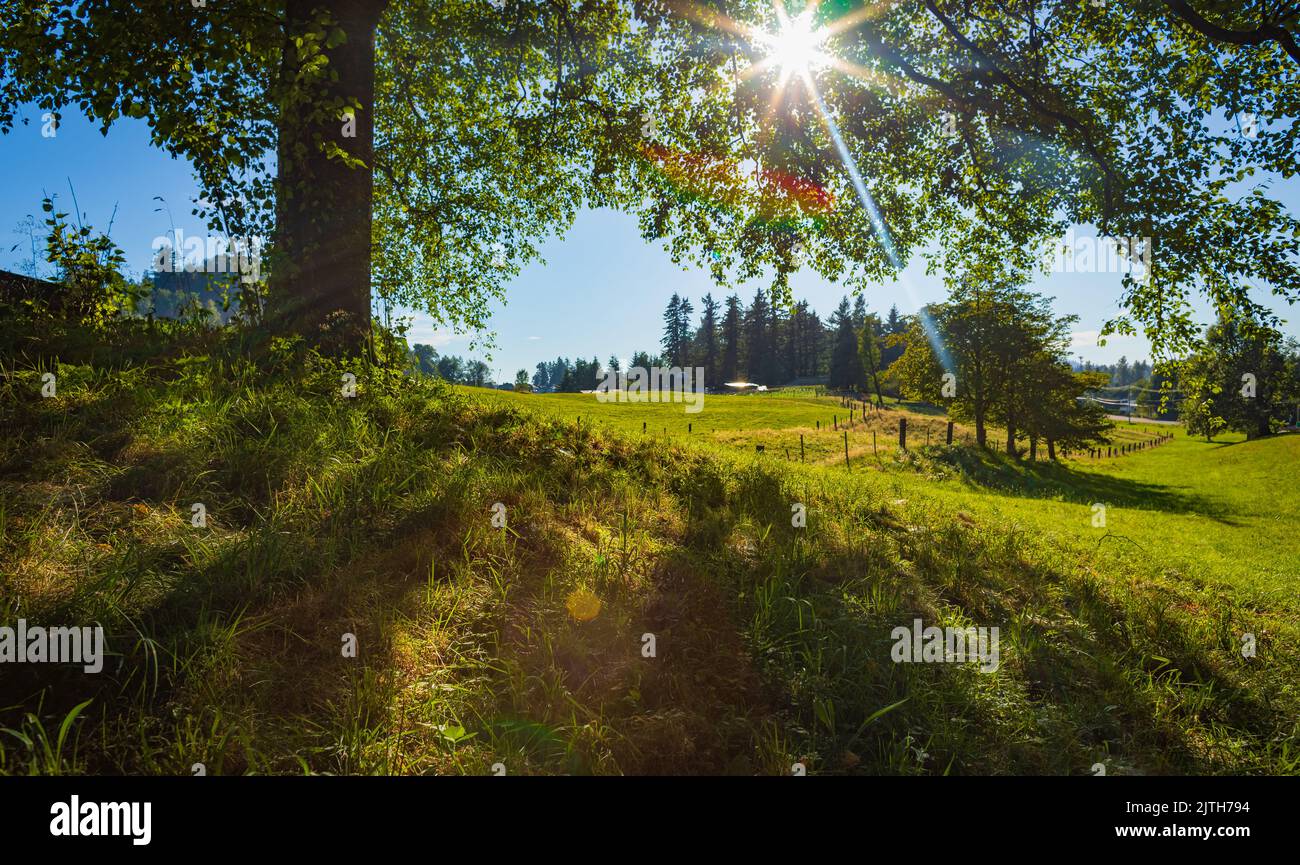 Beautiful view of rural park in countryside in British Columbia