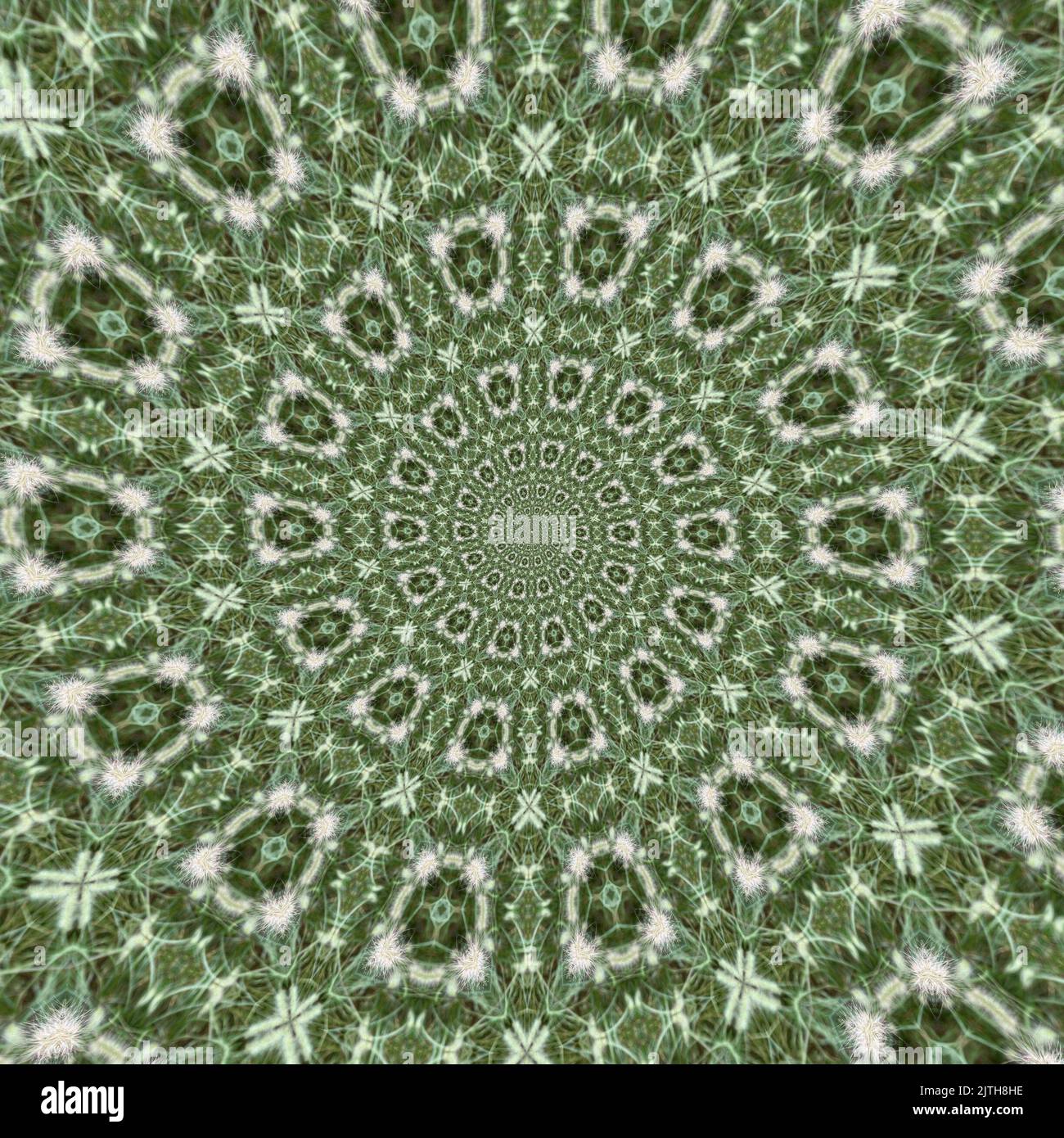 Kaleidoscope Background Pattern - Abstract botanical-Inspired, spiral design Stock Photo