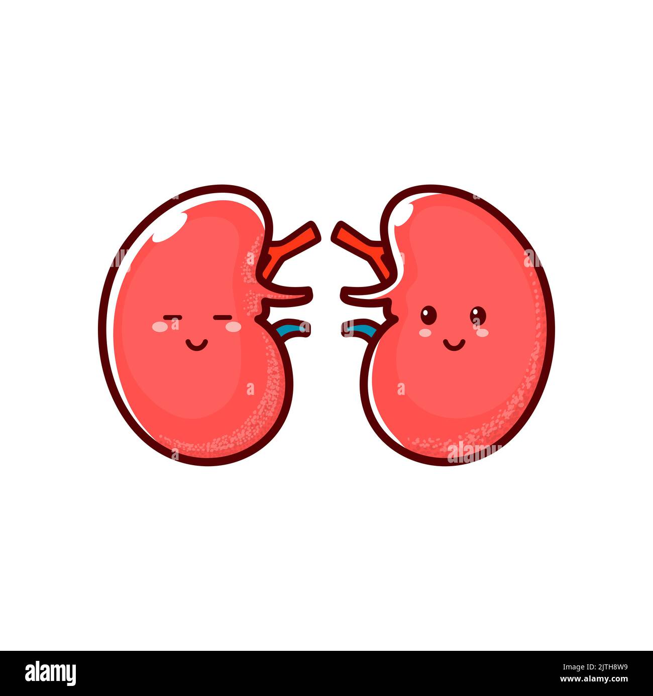 Human kidney cartoon happy hi-res stock photography and images - Alamy