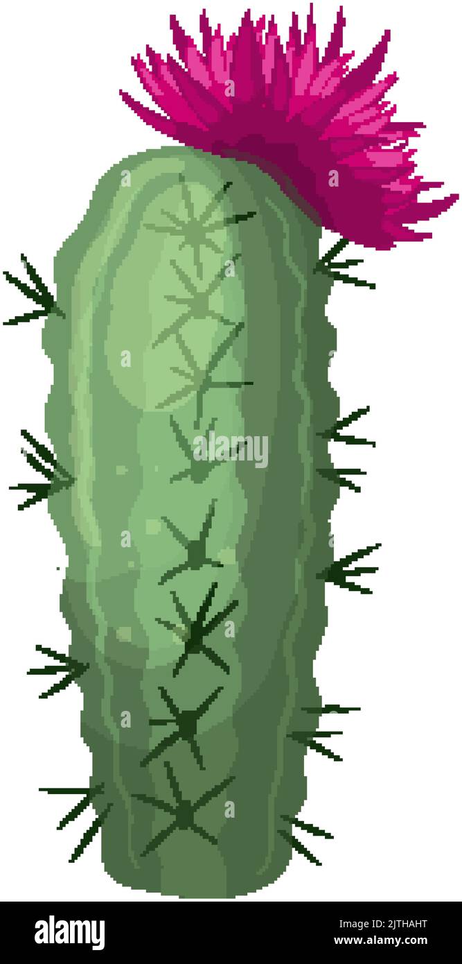 cactus flower cartoon vector illustration Stock Vector Image & Art Alamy