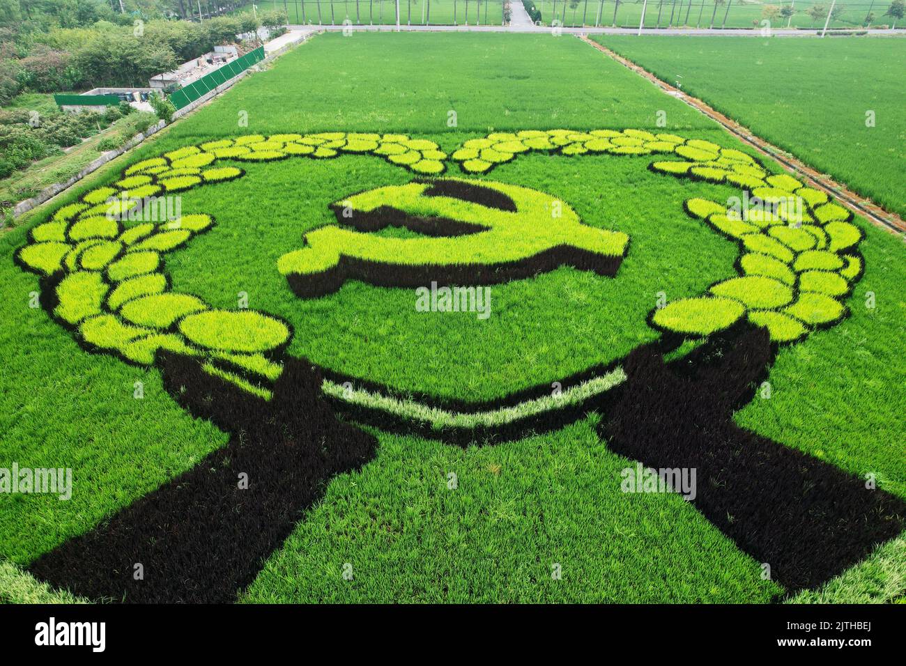 HANGZHOU, CHINA - AUGUST 31, 2022 - Aerial photo of the colorful rice ...