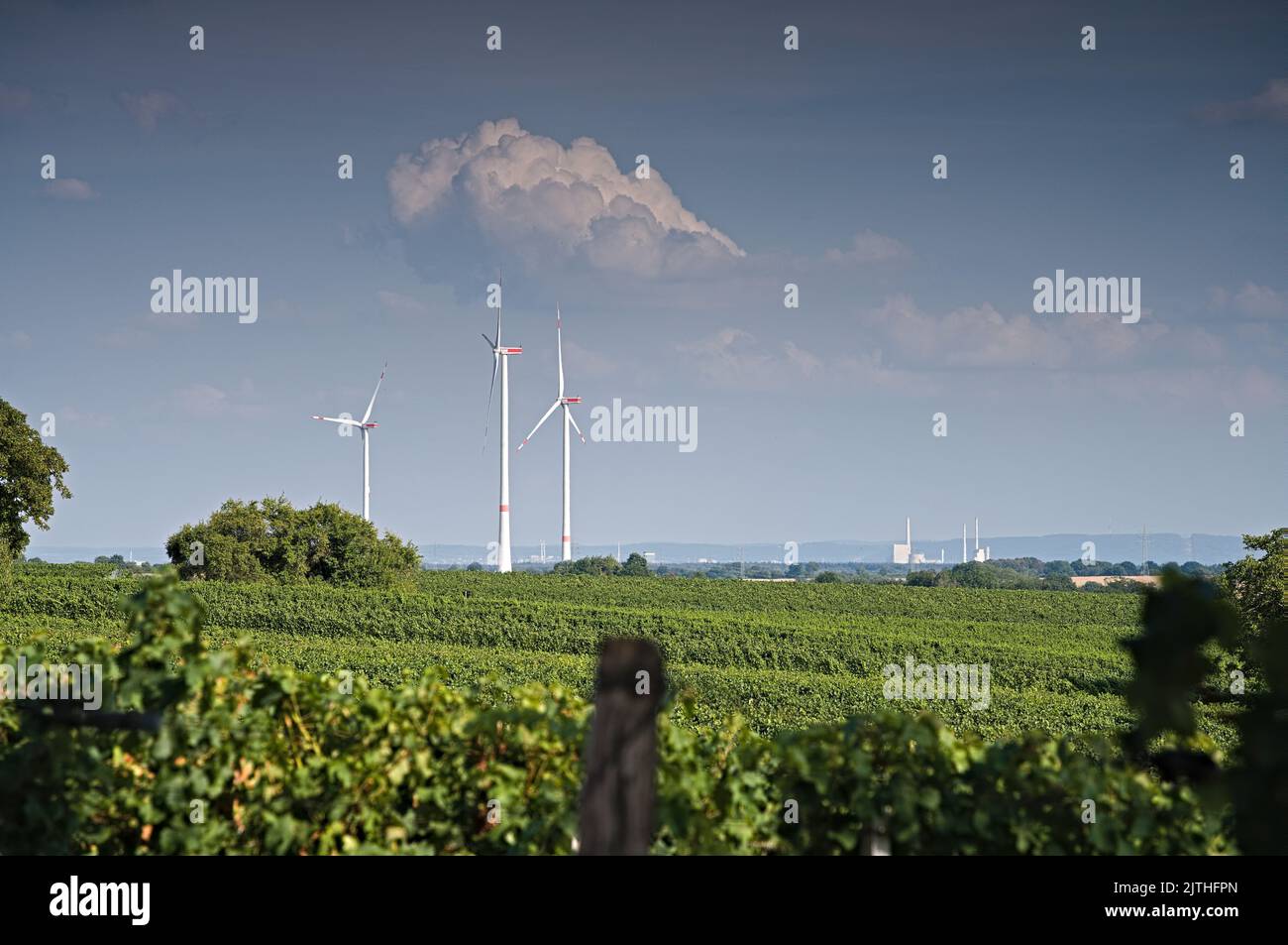 Two windturbines against blue sky with coal power station in the background Stock Photo