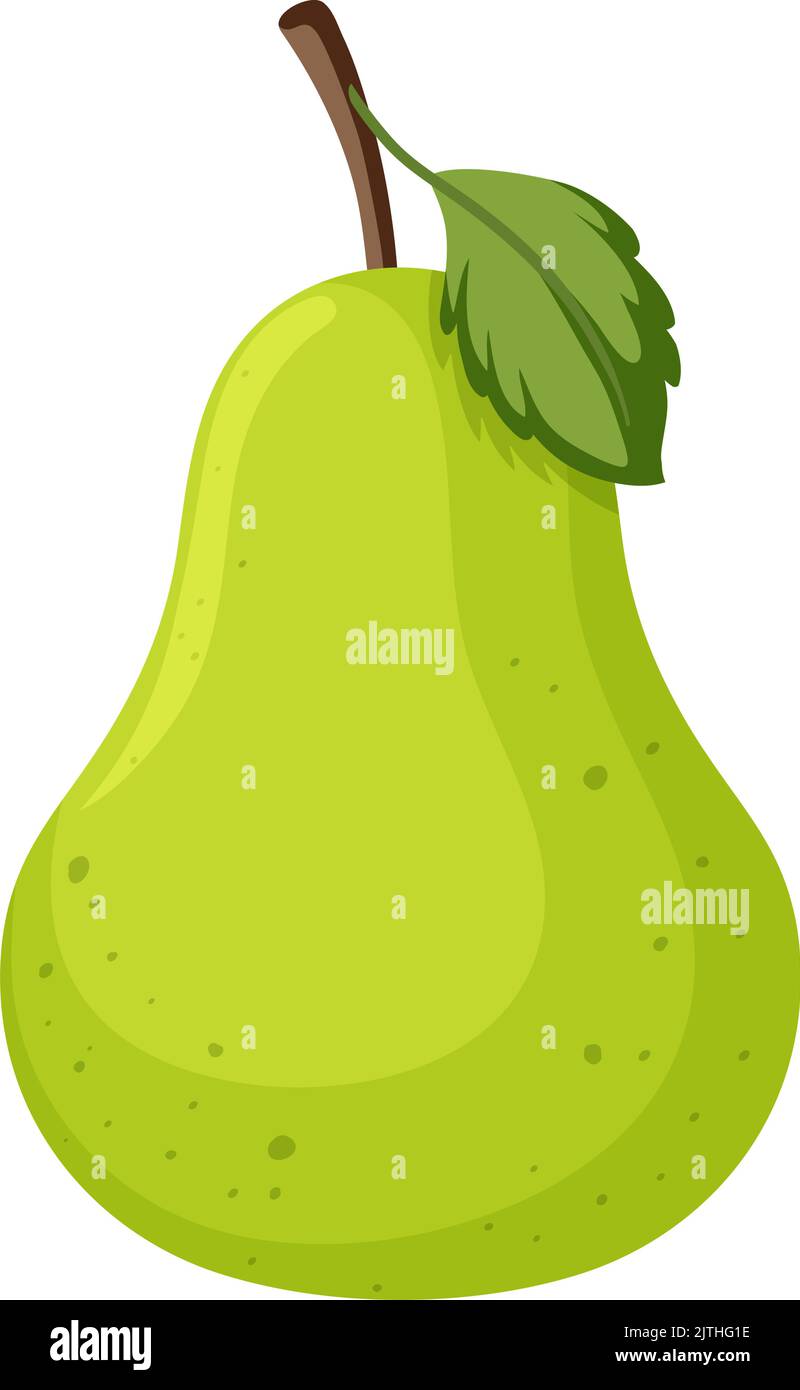 Isolated pear fruit on white background illustration Stock Vector Image ...