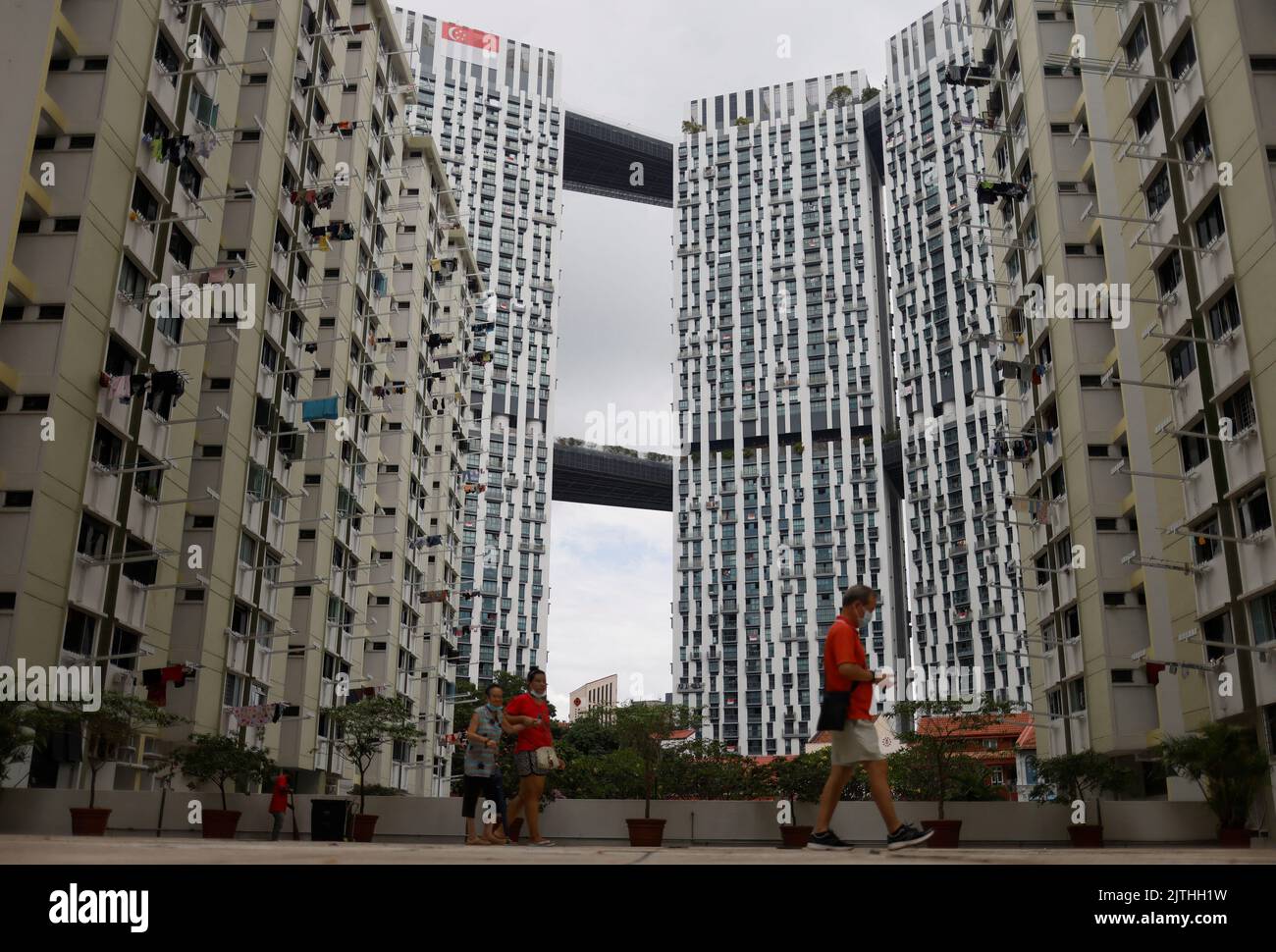 A view of the Pinnacle at Duxton public housing apartment blocks in Singapore August 19, 2022. REUTERS/Edgar Su Stock Photo