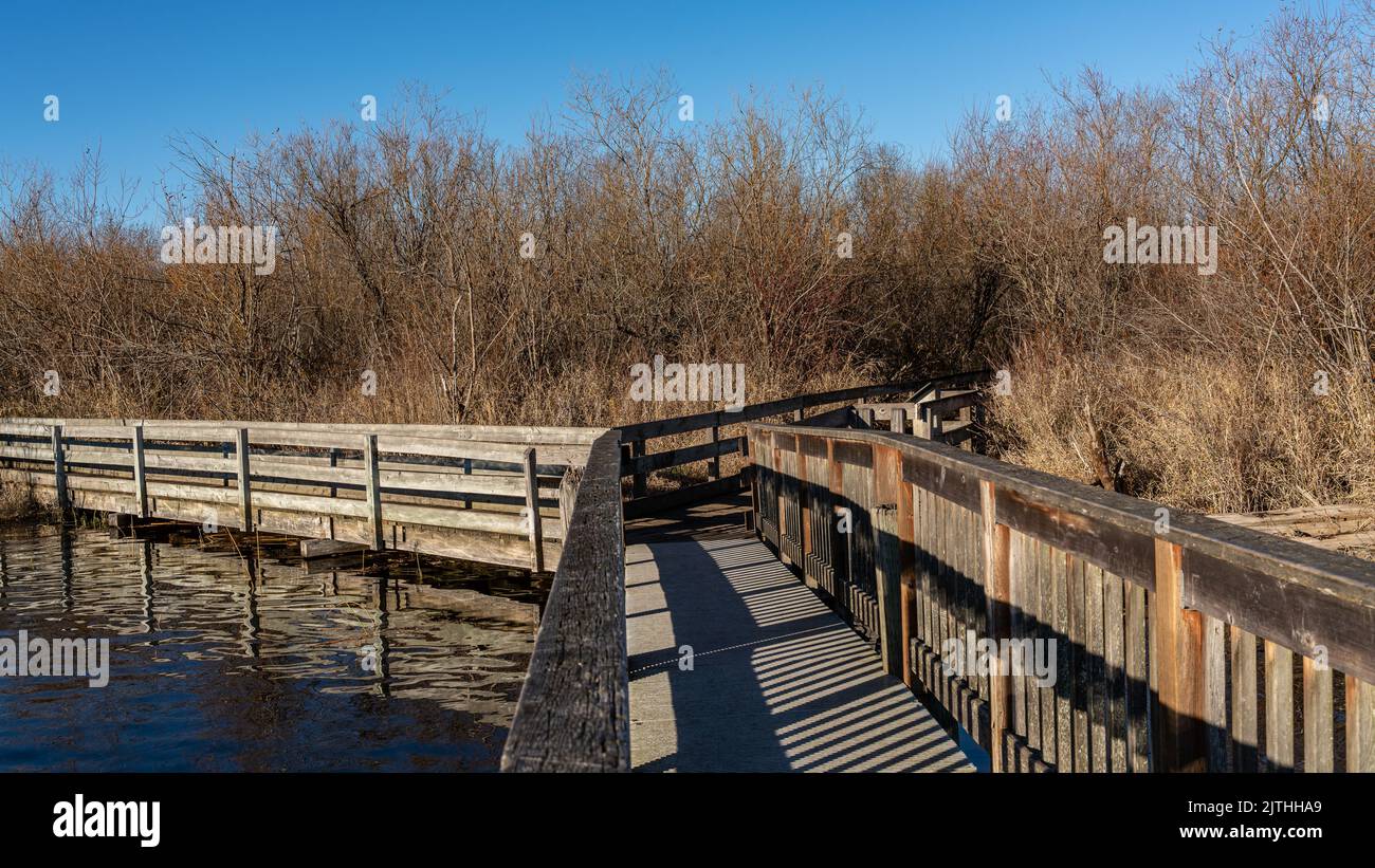 An aerial view of footpath surrounded by trees and water Stock Photo ...