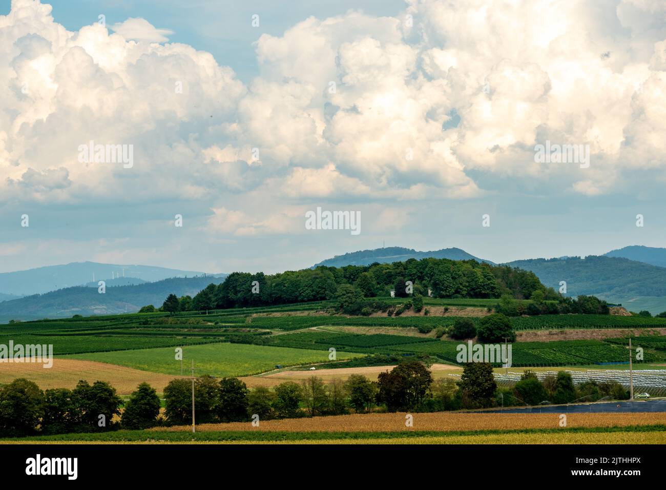 View towards Rebberg in Bad Krozingen, Germany Stock Photo