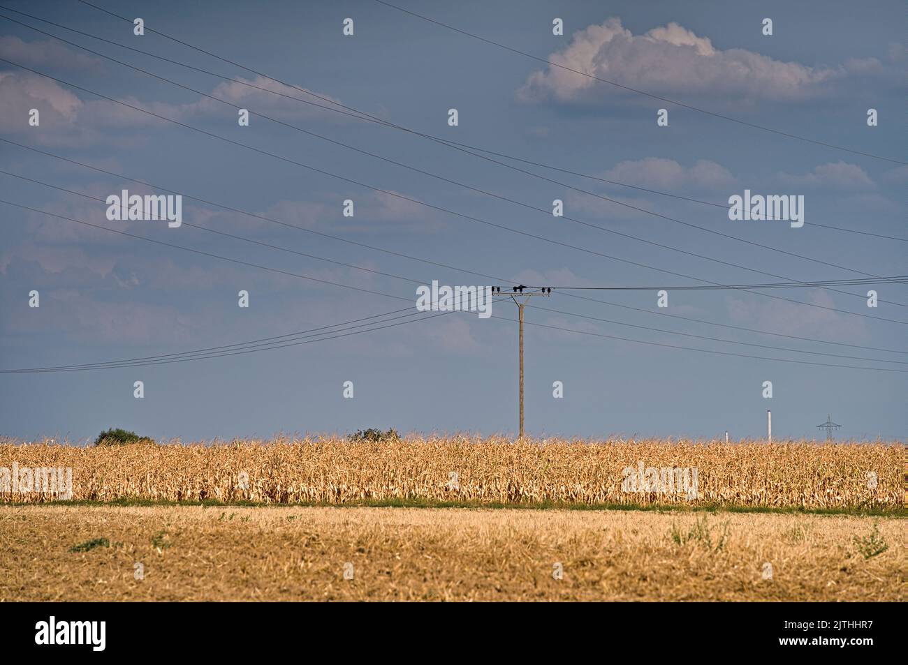 Power line in rural landscape Stock Photo