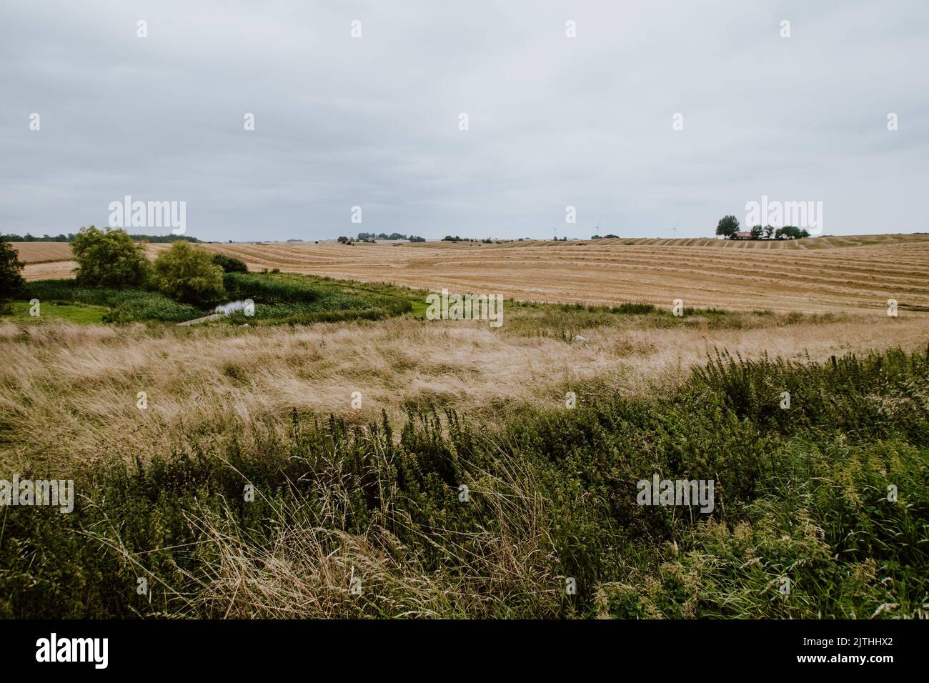 An agricultural field under the cloudy sky Stock Photo - Alamy