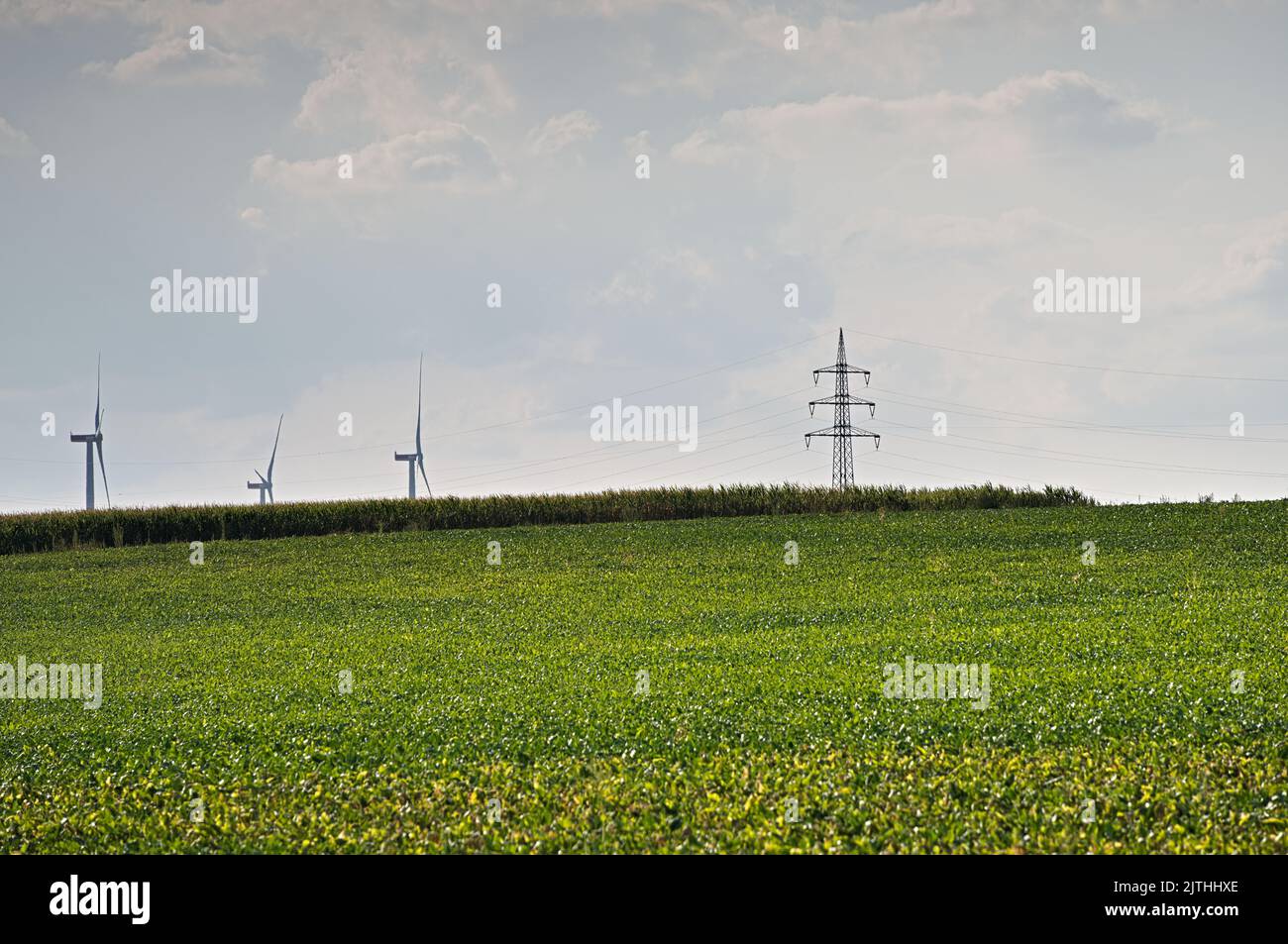Power line in rural landscape Stock Photo - Alamy