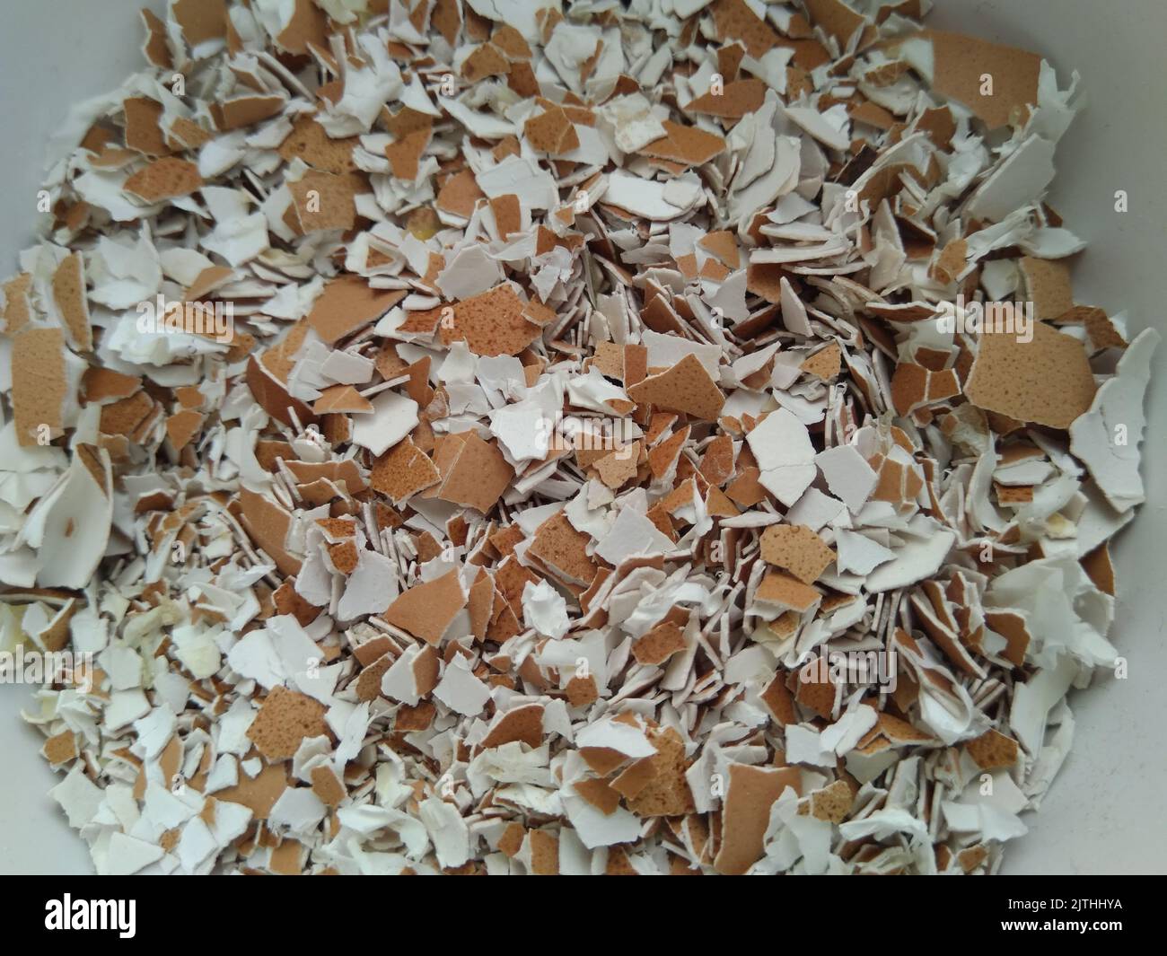 A top view of crushed dry eggshells Stock Photo Alamy