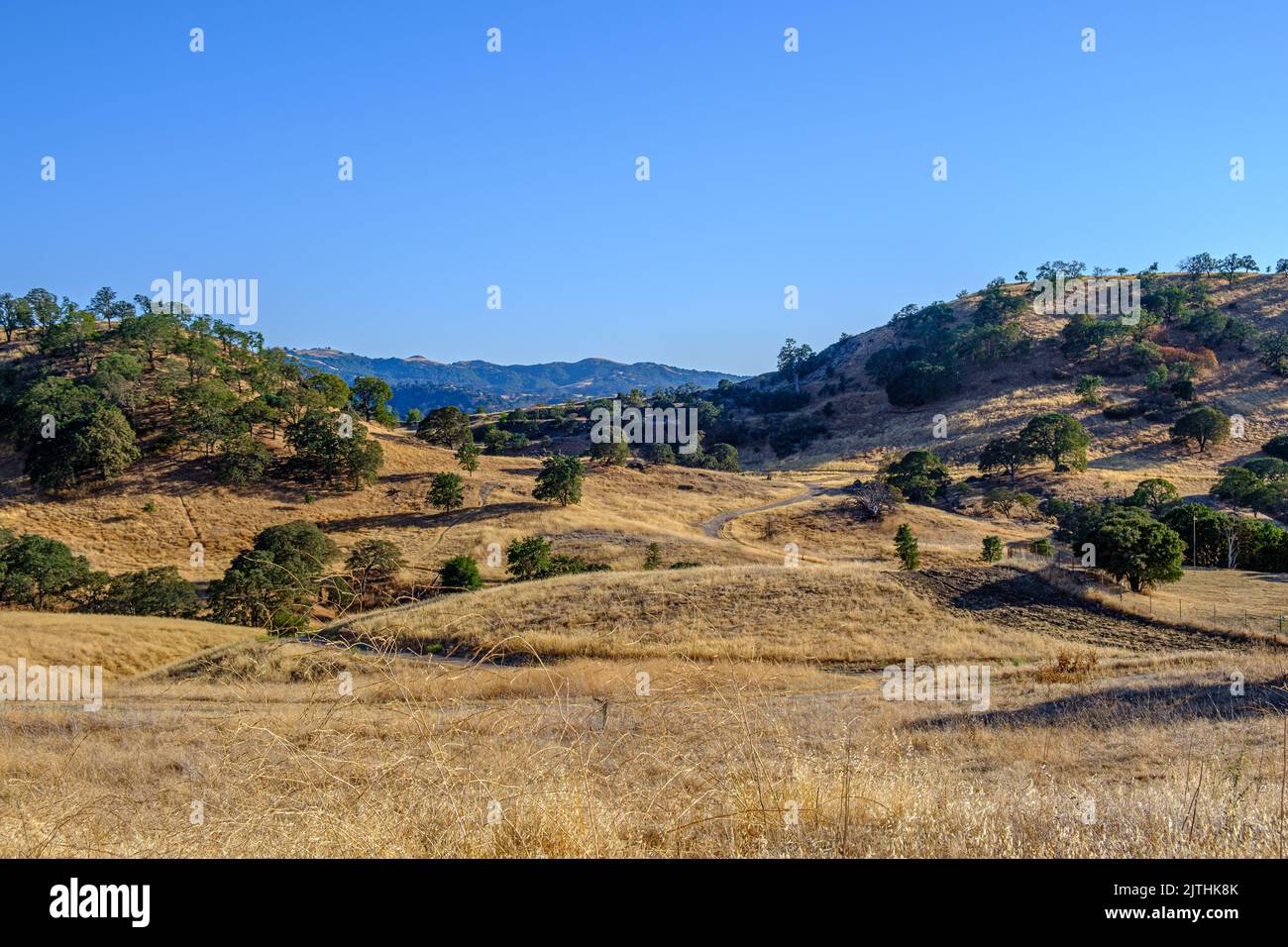 Shell ridge nature reserve hires stock photography and images Alamy