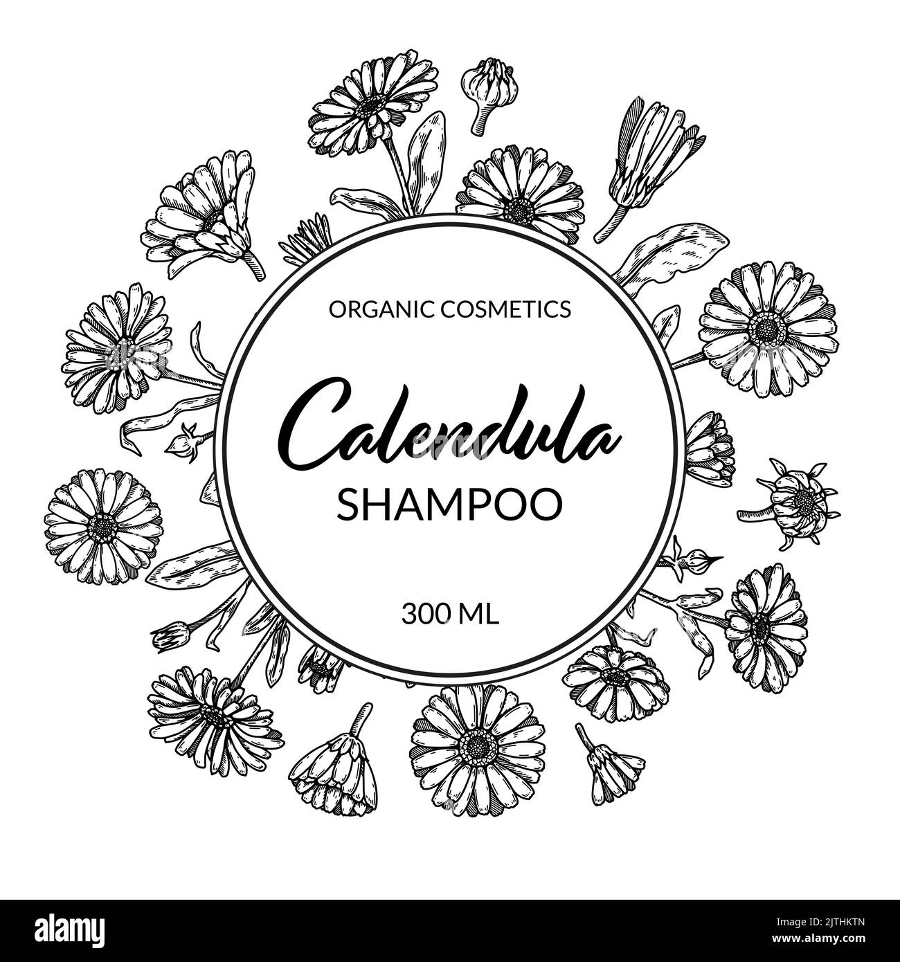 Calendula frame with hand drawn elements. Vector illustration in sketch style. Vintage packaging design Stock Vector