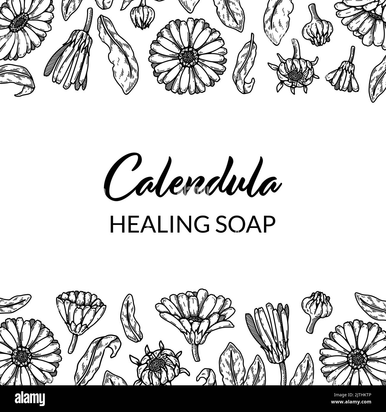 Calendula frame with hand drawn elements. Vector illustration in sketch ...