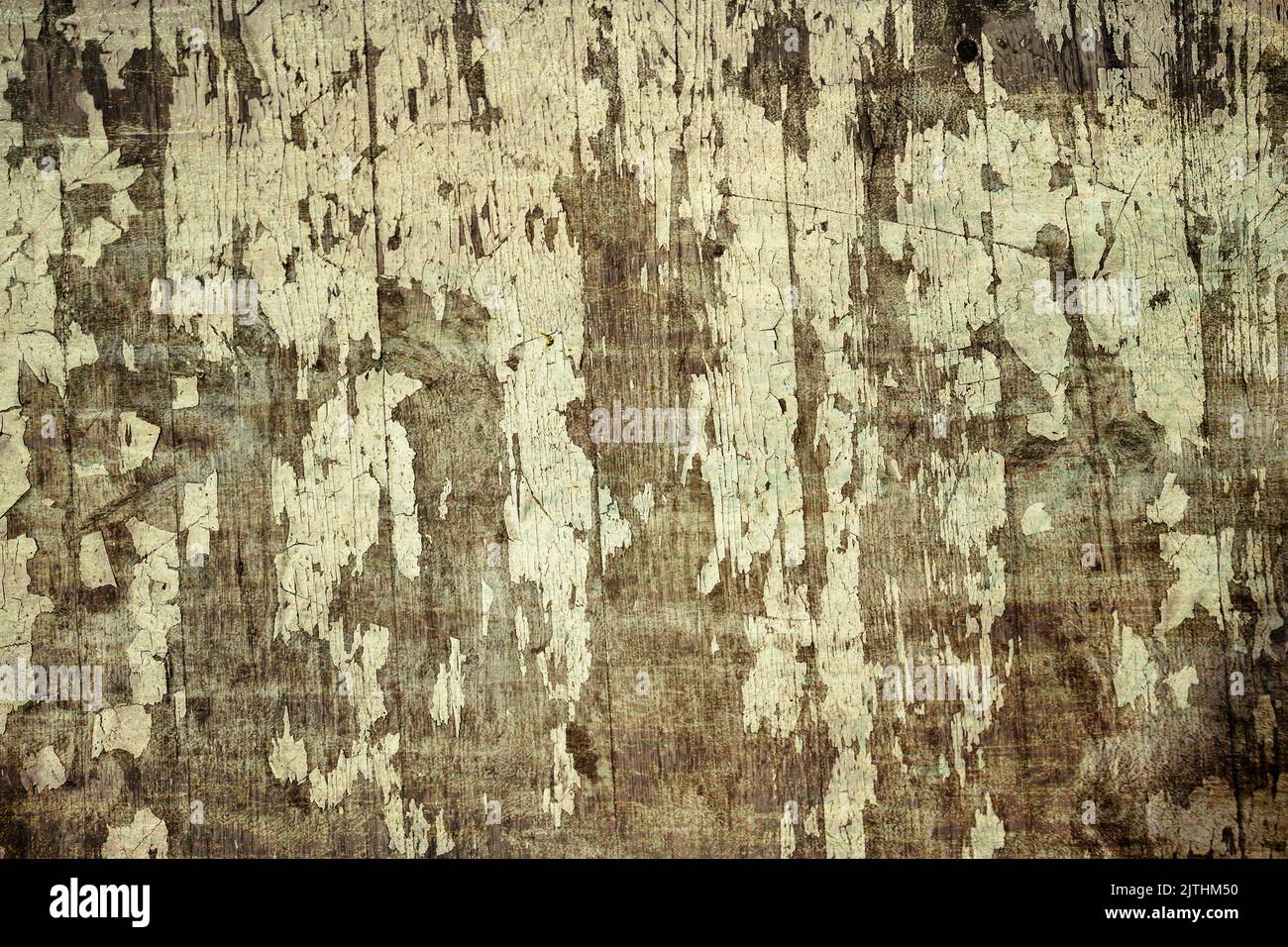 Grunge texture of peeling wood with white paint Stock Photo - Alamy