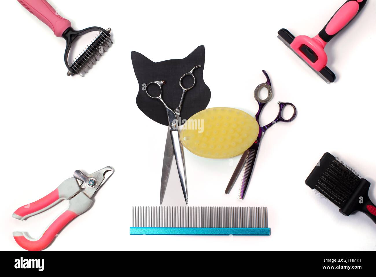 Curated visual reference: Picture Idea: Set Of Different Combs And Brushes For Grooming Pets On
