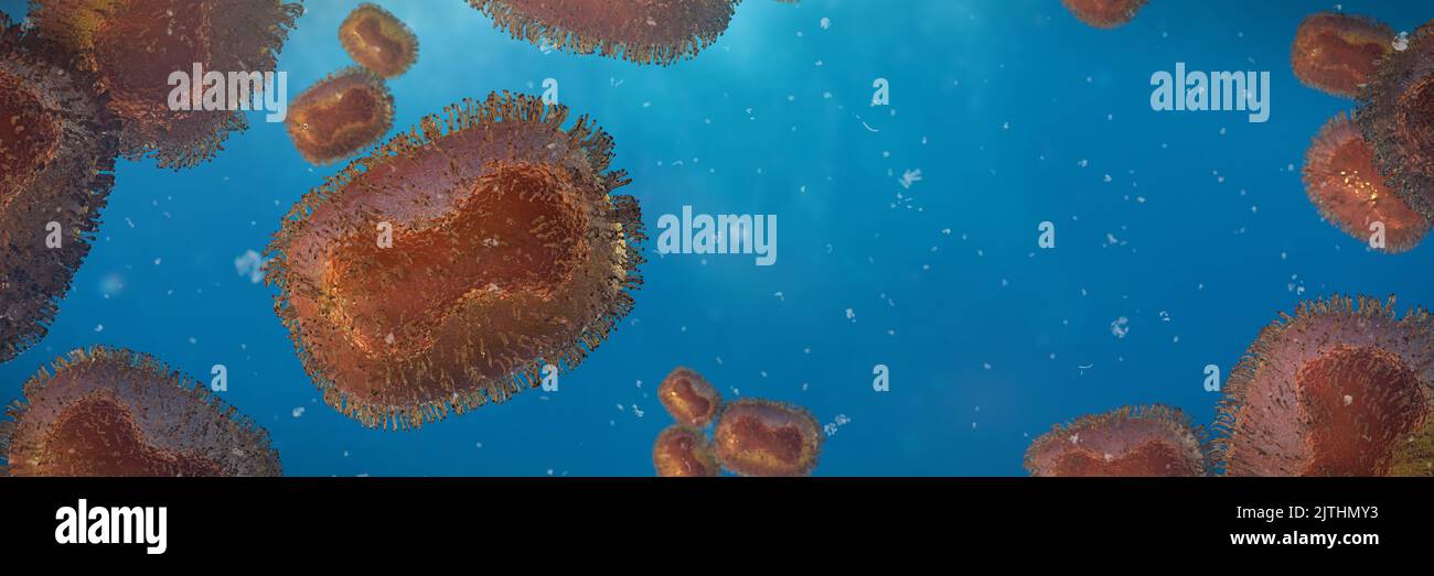 Monkeypox virus, one of the human orthopoxviruses, pathogen closeup, background banner (3d microbiology rendering) Stock Photo
