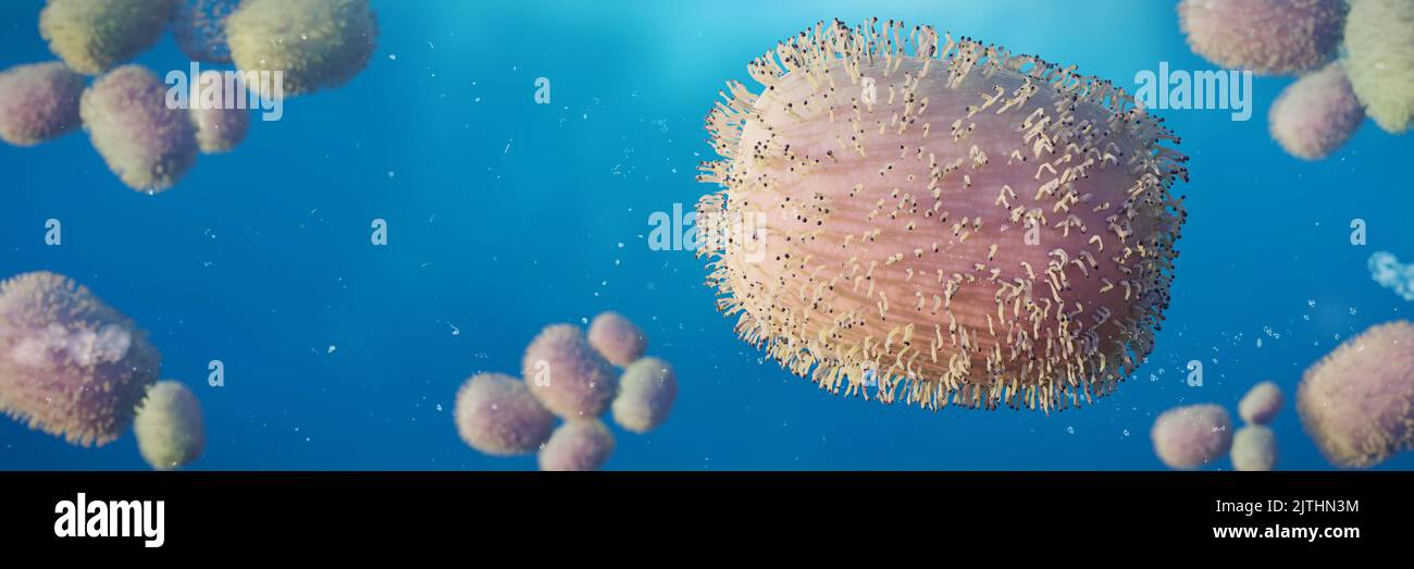 Monkeypox virus, pathogen closeup, background banner (3d microbiology render) Stock Photo