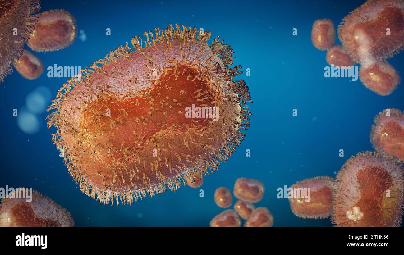 Monkeypox virus, one of the human orthopoxviruses, pathogen closeup, microbiology background Stock Photo