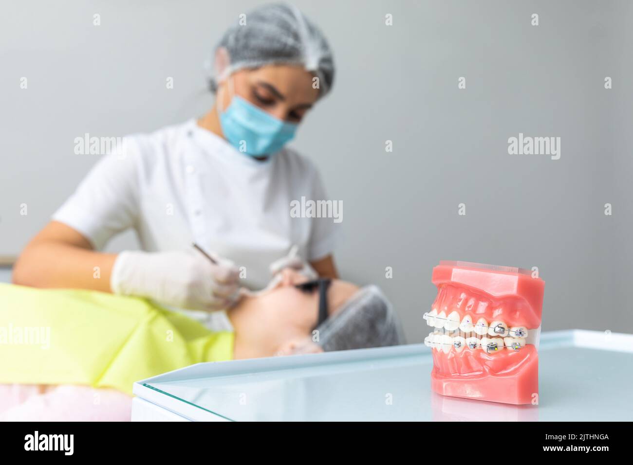 Orthodontic model and dentist tool. Teeth model of varities of