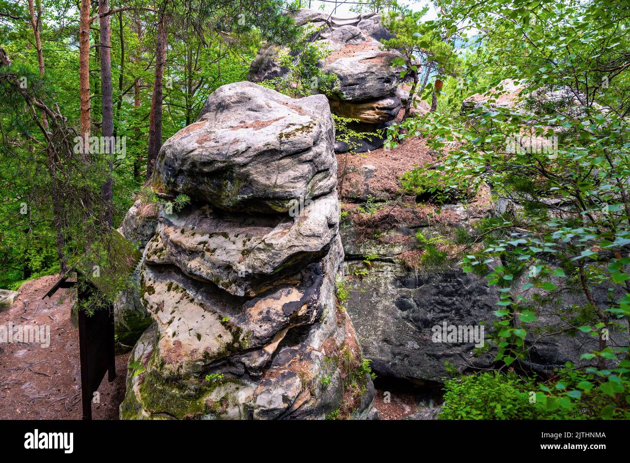 Sandstone rock formation Zdencina outlook in forest in nature reserve, Czech Paradise, Czech republic. Stock Photo