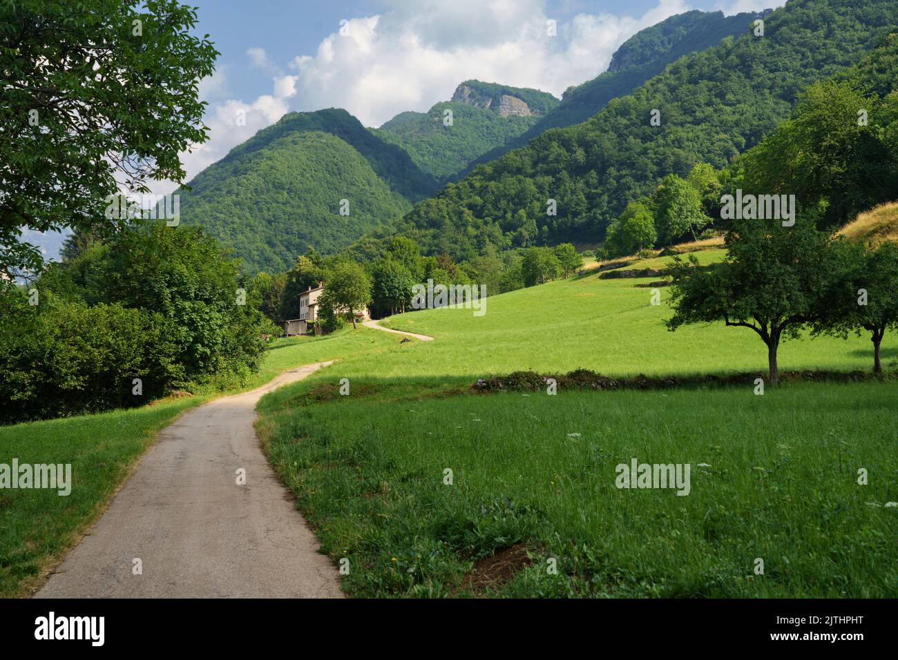 Summer landscape in Lessinia near Selva di Progno, Verona province, Veneto, Italy Stock Photo