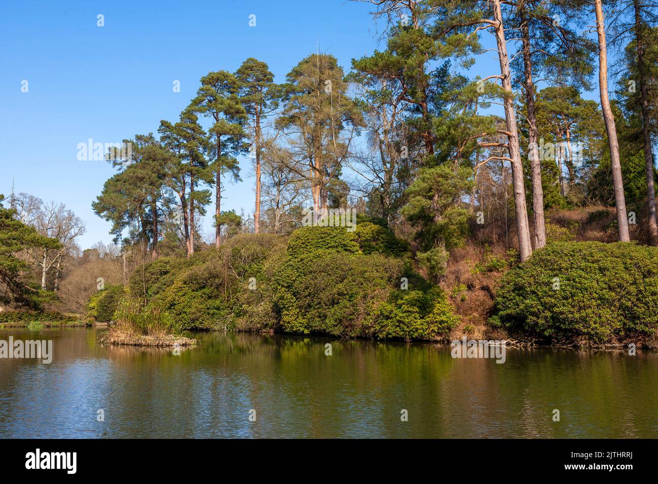 The Top Ponds at Leonardslee Gardens, West Sussex, England, UK, on a fine Spring day Stock Photo