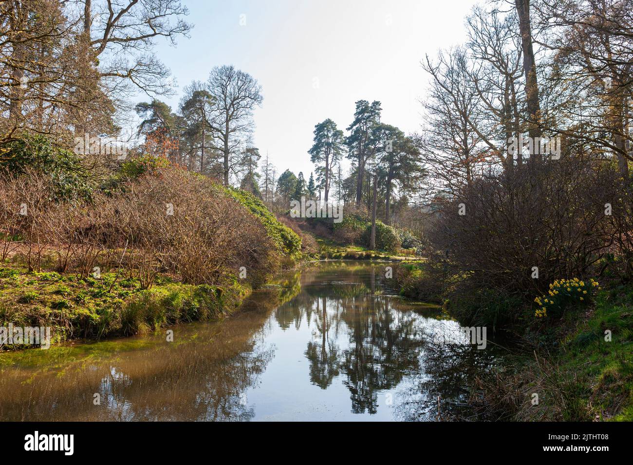 Clapper Pond, one of the Top Ponds in Leonardslee Gardens, West Sussex, UK, in early Spring Stock Photo