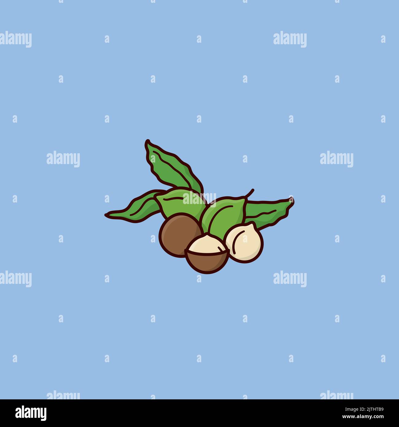 Macadamia nuts with leaves filled outline style vector illustration Stock Vector