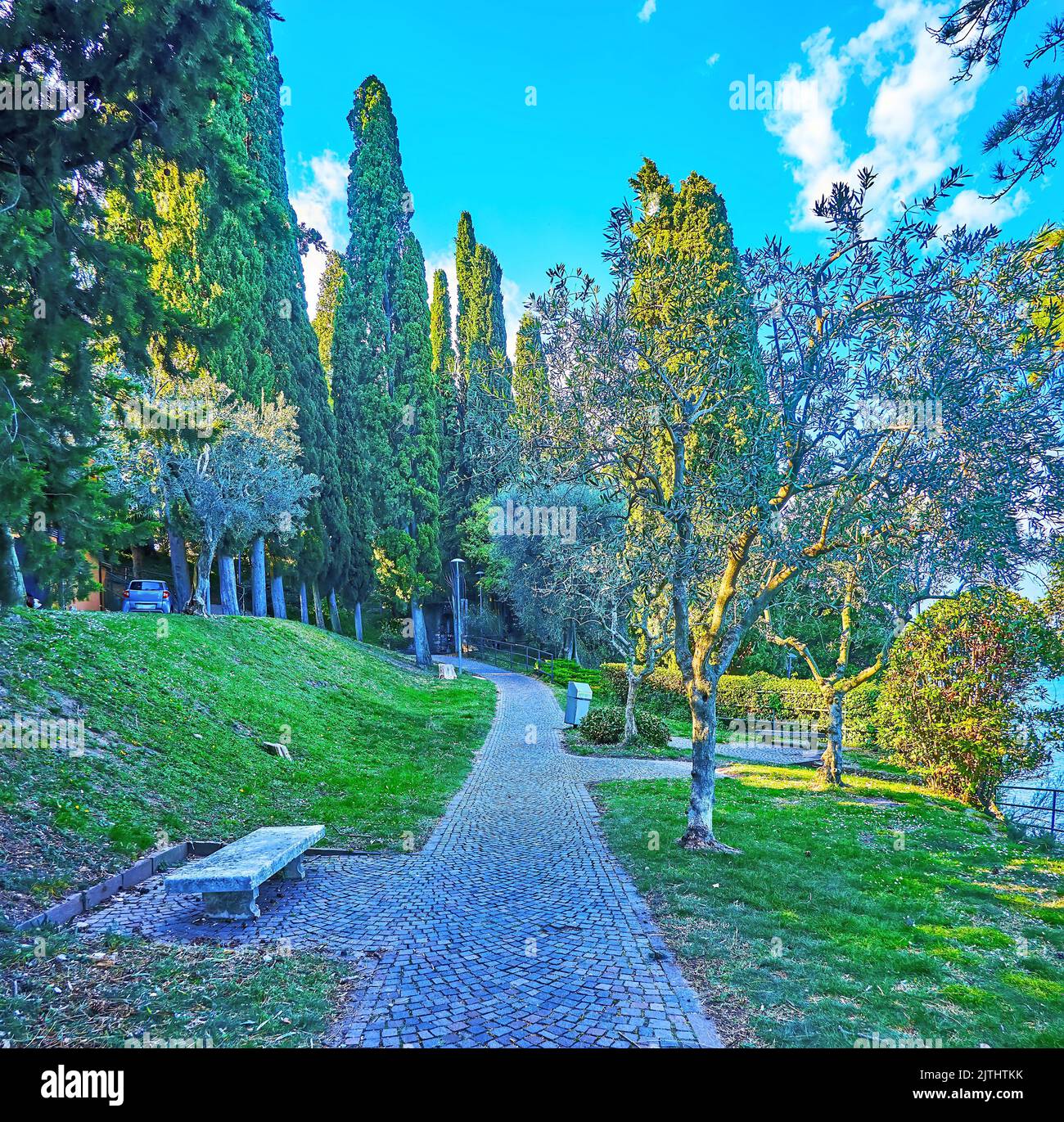 The narrow stone alley of Public Garden, lined with green lawn, olives, tall cypress trees, Sirmione, Italy Stock Photo