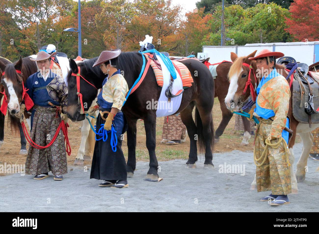 Ancient Japanese Samurai warriors and horses Stock Photo Alamy
