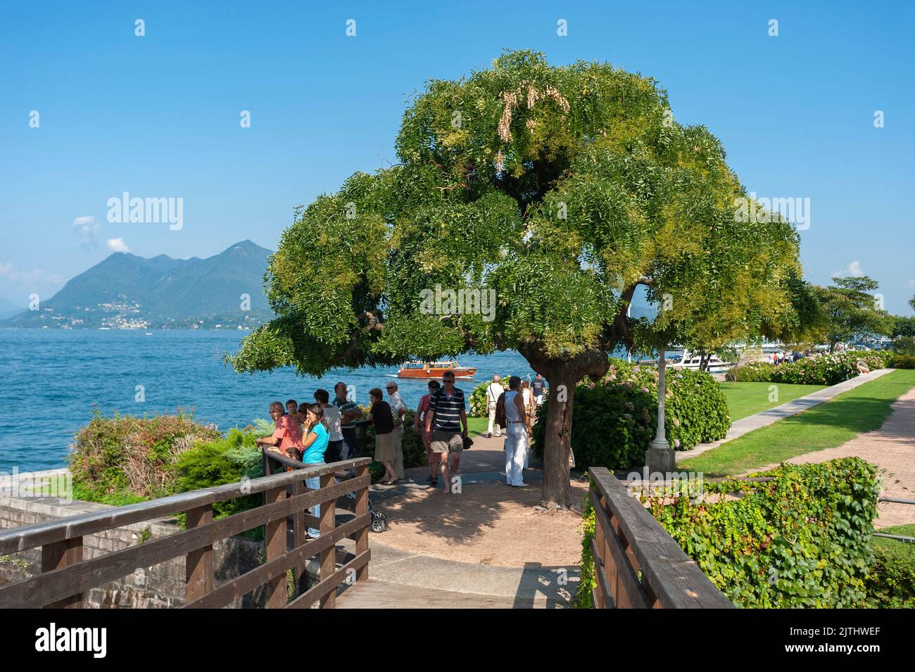 Promenade on Lake Maggiore, Stresa, Lake Maggiore, Piedmont, Italy, Europe Stock Photo